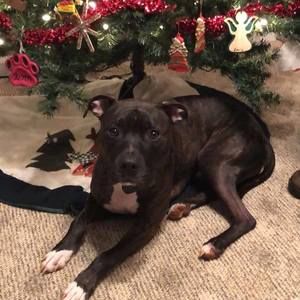 Meet your Posher, Shelly